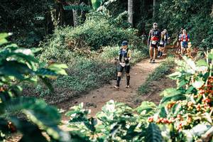 BIB: 
                            <button type="button" onclick="openModal(25849288)" class="btn btn-primary btn-sm float-right btn-popup" data-toggle="modal" data-target=".modal-high-quality">
                        <i class="fas fa-shopping-cart"></i> Add to Cart
                    </button>
                                            <button type="button" onclick="isThisMe(25849288, true)" class="btn btn-success btn-sm float-right btn-popup btn-isme hidden" data-toggle="tooltip" data-placement="bottom" title="นี่คือรูปของคุณใช่ไหม คลิกที่นี่เพื่อเอาเข้าอัลบั้ม">
                        <i class="fas fa-plus"></i> Add to album
                    </button>
                    <button type="button" onclick="isThisMe(25849288, false)" class="btn btn-warning btn-sm float-right btn-popup btn-isnotme hidden">
                        <i class="fas fa-ban"></i> Remove from album
                    </button>